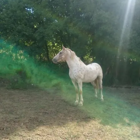 Les Roses Arconville