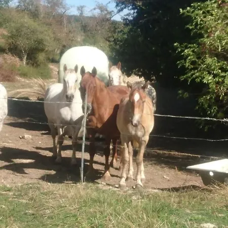 Les Roses Arconville